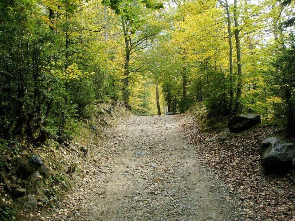 Apartamentos Pirineos Ordesa El Pueyo de Araguás Esterno foto